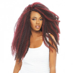 Janet Collection NOIR AFRO TWIST BRAID