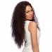 HARLEM 125 Synthetic Hair Lace Front Wig X.tra Long Collection LL007